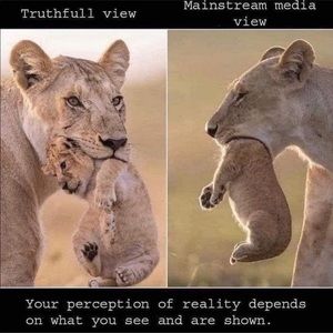 Meet your Posher, Nwamaka